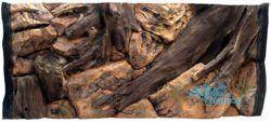3D root background 77x36cm