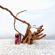Red Moor Root Size 37x28x26cm