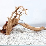 Red Moor Root Size 49x25x20cm